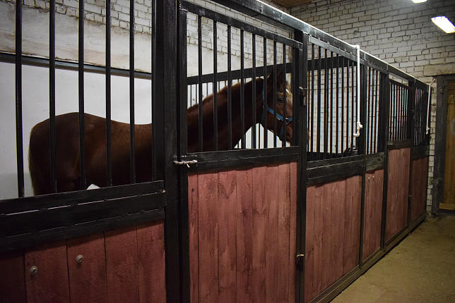 В 11-й спортивной школе обновляют денники для лошадей