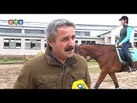 Еще одна лошадиная сила