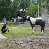 z_e0801676.jpg
