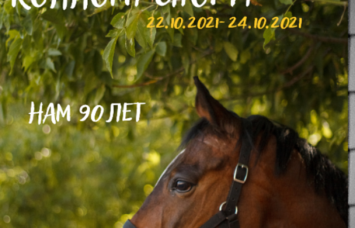 КУБОК ГОРОДА ИВАНОВА ПО КОННОМУ СПОРТУ. ЮБИЛЕЙ