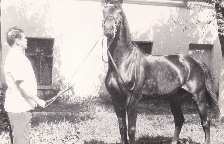 СОРЕВНОВАНИЯ ПО КОННОМУ СПОРТУ В ПОМЕЩЕНИИ, ПОСВЯЩЕННЫЕ САВИНОВУ ВАСИЛИЮ ГЕОРГИЕВИЧУ